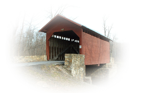 roddy bridge 1
