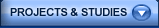 Projects & Studies