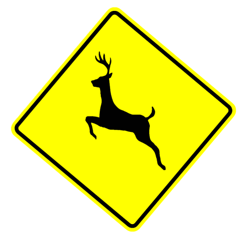 deer crossing sign