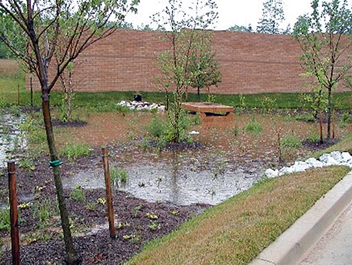 Newly Constructed Bioretention Facility receiving Stormwater Runoff