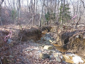 MD 210 stream before restoration