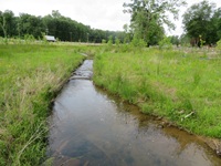 Rosemary Lne Stream Restoration