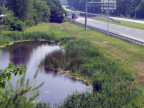Wet Pond along MD 291 in Talbot County