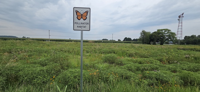 Pollinators