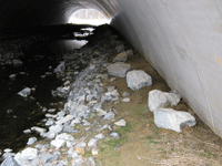 Culvert accessible by aquatic and land wildlife